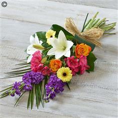 Vibrant  Sheaf