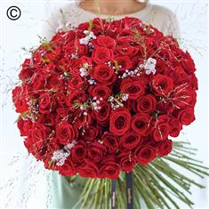 Lavish 100 Valentine&#39;s Red Rose Hand-tied